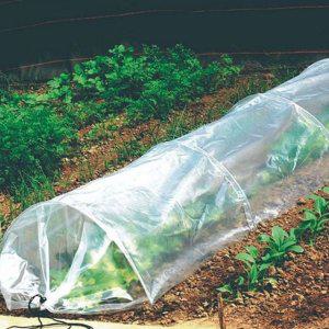 정원 비닐 하우스 텃밭 접이식 소형 온실 간이