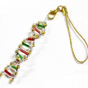 활동 생물 모형 키트 학생 과학 초등 dna 만들기