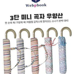 스트라이프 패턴 3단 플라워 우양산 휴대용