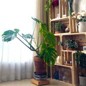 삼나무 박스 정리함 원목 거실 인테리어 수납 공간 책장