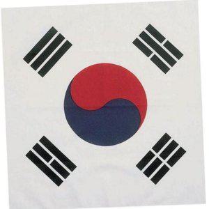 기념 행사용 태극기 손수건 응원 응원용 대형