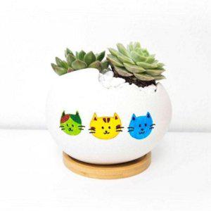 나 도자기 만들기 키트 화분 세라믹 다육 컬러링