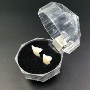 뱀파이어 소품 드라큘라 할로윈 송곳니 이빨 분장용