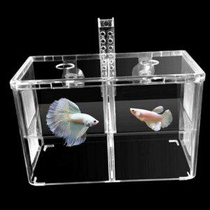 부화통 분리 치어 격리통 투명 물고기 구피 어항 사육통