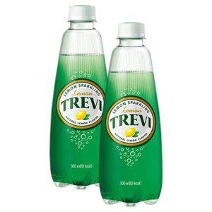 롯데 트레비 레몬 300ml x 20PET
