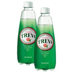 롯데 트레비 자몽 300ml x 20PET