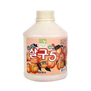 차그림 농축과일원액 살구 원액 850ml x4