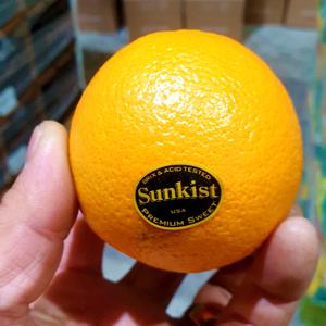 프리미엄 수입산 블랙라벨 오렌지 (특대과/개당280g내외)