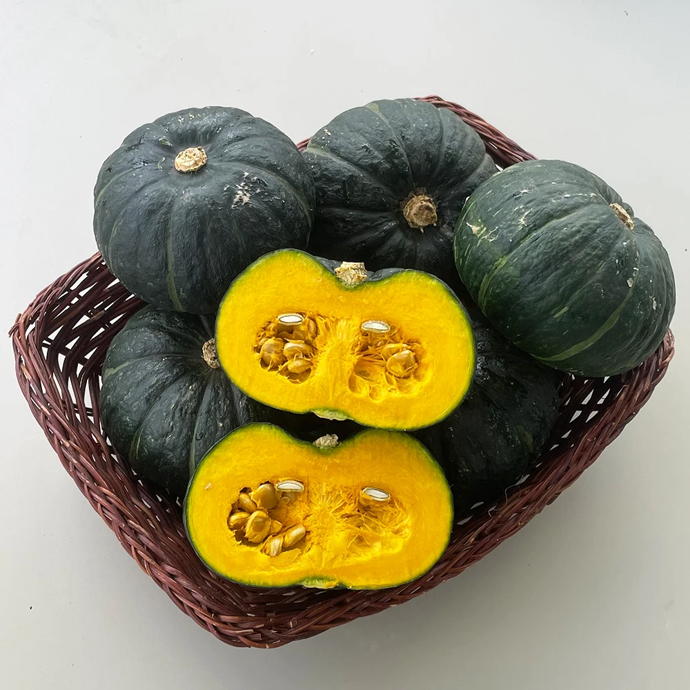 국내산 미니 밤호박 (보우짱) 2/3/5kg