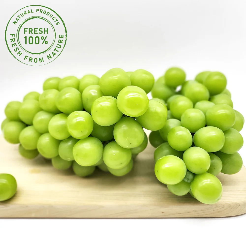 [더조은] 고당도 청포도 샤인머스켓 2kg (3-4송이)