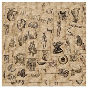 56Pcs 크리 에이 티브 인체 해부학 생리학 심장 두개골 내부 장기 스티커 해골 낙서 스티커 수하물 노트북 스티커