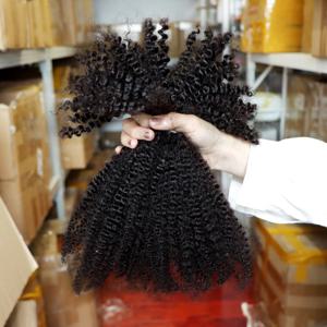 4C 아프로 킨키 벌크 인모 헤어 익스텐션 노 웨프트 30g/팩 브라질리언 레미 벌크 락스 마이크로 트위스트 브레이딩 헤어 16인치 T1B-30