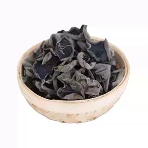 건목이버섯 H8 M1.5~2cm 무농약 채소 스프 냉면 스테이크 요리용