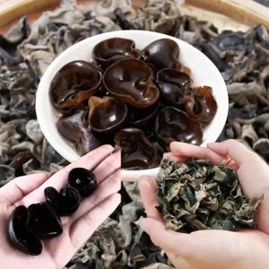 무농약 건목이버섯 M1.5~2cm 마라탕 잡채볶음 무침 마라샹궈 짬뽕