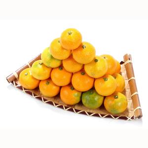 청정 제주 비가림감귤 3kg / 5kg 크기별 선택