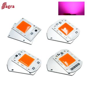 LED 전체 스펙트럼 식물 성장 COB 라이트 칩 10W 20W 30W 50W 식물 수경 AC 110V 220V UV 램프 꽃 모종 Fitolamp