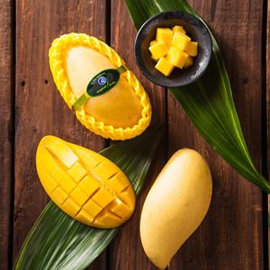 태국산 골드망고 대과 망고선물세트 2kg/4kg/5kg