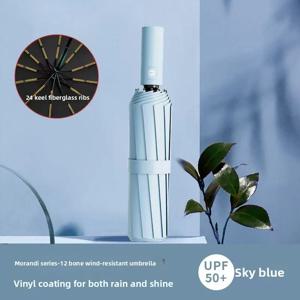 자동 우산 여성용 날씨 및 비, 햇빛 차단 접이식 파란색 소년용 고급 자외선 차단제