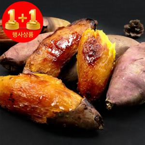????1+1 한정특가???? 산지직송 해남 햇고구마 꿀밤고구마 베니하루카 꿀고구마 한입5kg