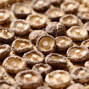 건표고버섯원형 고퀄리티 건표고버섯