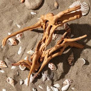 천연 나무 줄기 유목 수족관 어항, 파충류 실린더 뿌리 식물, 나무 장식 액세서리, 수족관 식물