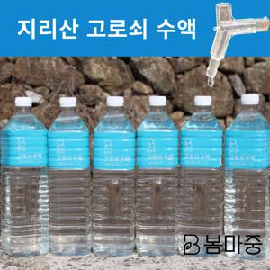 [국내산] 고로쇠수액 1.5L 지리산에서 채취한 고로쇠 봄마중 고로쇠물 4.5L