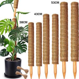 모스 폴 38/43/53CM 몬스테라 식물 지지대 쌓을 수 있는 모스 폴 식물용 코이어 토템 폴 클라이밍 식물용 높은 모스 폴