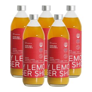 비타제틱 데일리 레몬진저샷 국내산생강 커큐민 비타민Ｃ건강드링크 진저샷 플러스 700ml x 5개