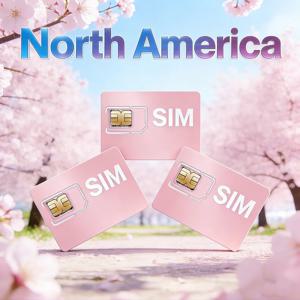 GPS 트래커 SIM 카드 북미 2G/3G/4G IoT 데이터 계약 없음 360MB 360일 S20 C09 TK403용