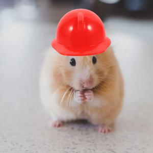 40Pcs 미니 하드 모자 와인 병 장식을위한 창조적 인 안전 헬멧 치킨 파티 애완 동물 의상 건설 테마 장식