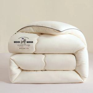 새로운 가을 겨울 양모 이불, 두껍고 따뜻한 겨울 이불, 겨울 빠른 가열 이불 코어, 모든 계절에 적합