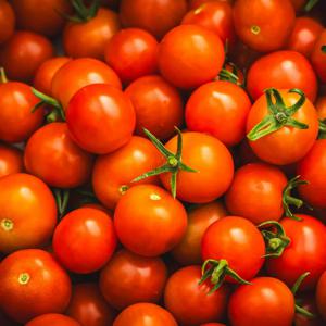 [꿀당도] 스테비아 방울 토마토 단마토 레드