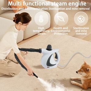 고온 및 고압 스팀 청소 기계, 에어컨, 주방, 가정용 다기능 청소 기계