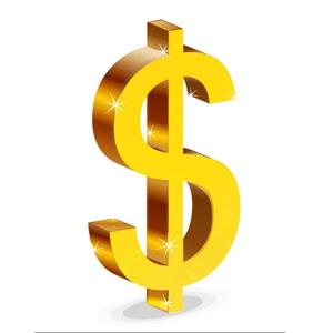 추가 요금 가격 차액을 보상하기 위한 추가 요금, DHL 배송비, 원격 요금, 보험료(배송 비용 제외)