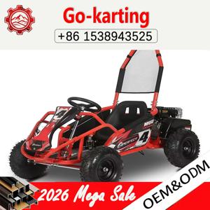 성인용 오프로드 전기 드리프트 카트 고카트 크로스 샌드 버기 고성능 야외 레이싱 카트 익스트림 스포츠용