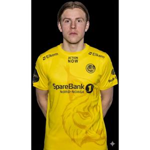 2025/26 노르웨이 축구 유니폼 하우게 # 10 홈 옐로우 축구 셔츠 남성용 풋볼 셔츠 마이요 드 풋 트레이닝 유니폼 상의