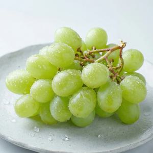 고당도 프리미엄 오톰크리스피 애플청포도 세트