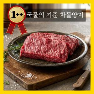 [차돌양지]최고급 1++ 투쁠 한우 차돌양지 200g
