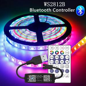 개별 주소 지정 스마트 RGB LED 스트립, 방수 및 28 키, 블루투스 음악 컨트롤러 키트, WS2812B, DC5V