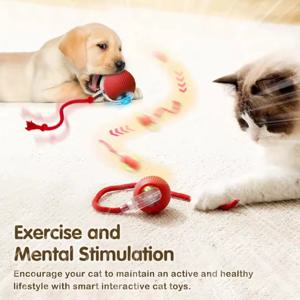 고양이 장난감 고양이 지루함을 완화하는 스마트 고양이 공 새끼 고양이 장난감을 피하는 애완 동물 전기 롤링 볼 유물