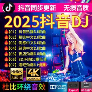 64G 차량용 USB 새 노래 2025 DJ 중국어 MP3 클래식 음악