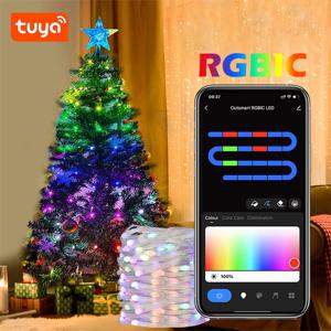 TUYA USB LED 문자열 크리스마스 조명 WS2812B RGBIC 빛 WIFI 풀 컬러 주소 지정 가능 가정용 LED 요정 문자열