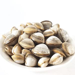 [푸디앤] 동죽조개 1kg / 남해안 생산