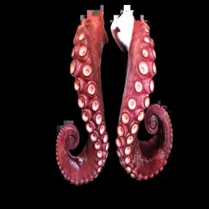 국산 자숙문어 다리 남해 자연산 돌문어 통다리 숙회 200g