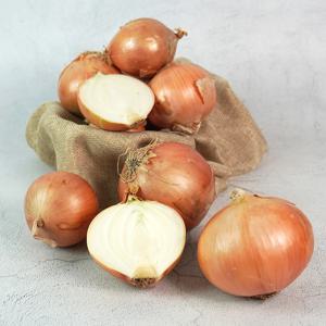 [더조은] 전남무안 싱싱 햇 양파 중 10kg