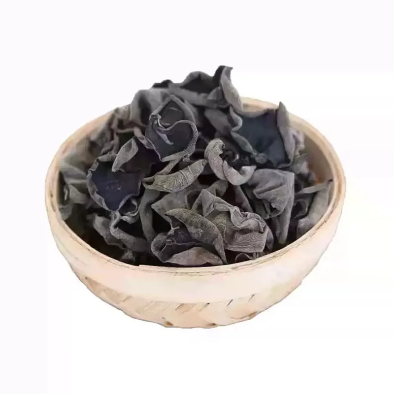 건목이버섯 H8 M1.5~2cm 무농약 채소 스프 냉면 스테이크 요리용