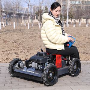 맞춤형 간편 유지 보수 원격 제어 잔디 깎는 기계, 가족 정원 마당 잔디용 안정적인 잔디 트리머