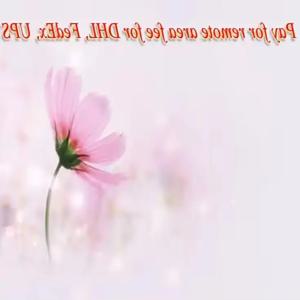 추가 배송비를 지불하세요 20260130