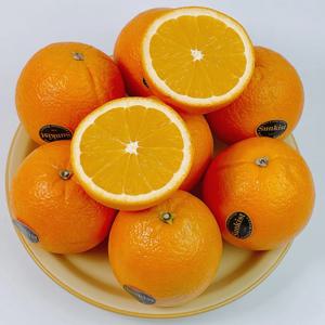 오렌지 블랙라벨 썬키스트 썬트리트 카슈골드 블랙 14brix이상 당도선별