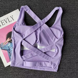 무봉제 스포츠 브라 무봉제 스포츠 브라 섹시 요가 피트니스 탑 스포츠 러닝 언더웨어 푸쉬업 브라 스포츠웨어 브라렛 여성용